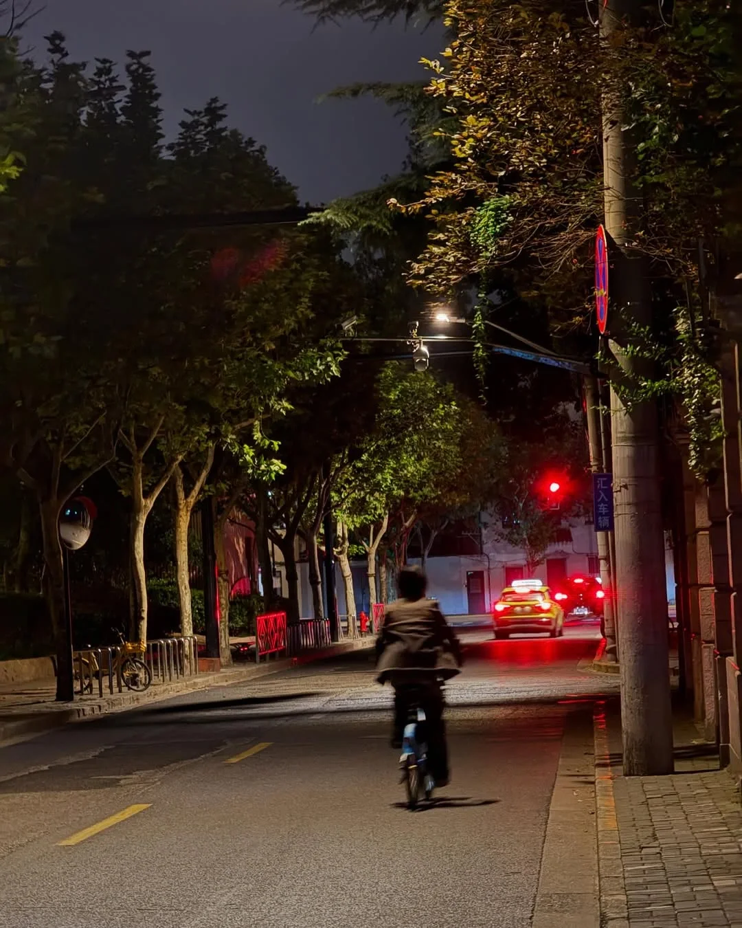 Cyclist travelling down a Barcelona street at night under traffic lights