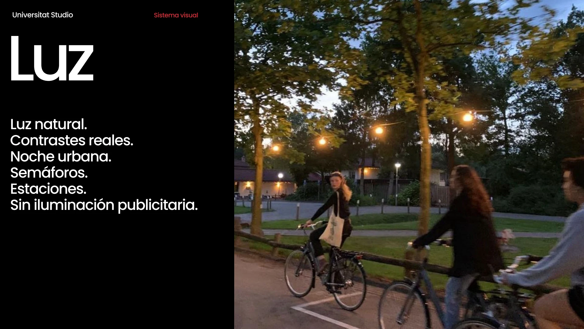 Two women riding bicycles through a park in low evening light